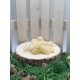 Pastilles des Vosges au sapin, miel, et plantes