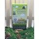 Brisures de bonbons des Vosges : Sapin Miel Eucalyptus