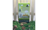 Brisures de bonbons des Vosges au Sapin Miel Eucalyptus en dosettes
