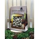 Chocolat enrobé Amandes - Chocolat Blanc