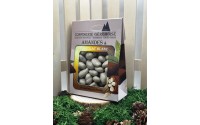Chocolat enrobé Amandes - Chocolat Blanc